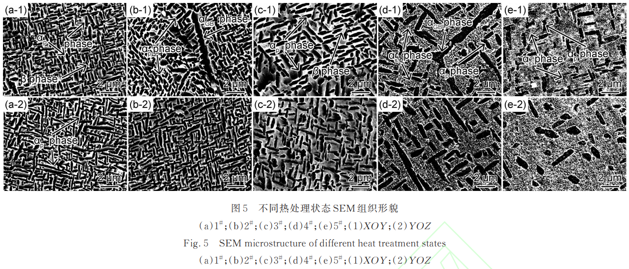 截圖20250331103746.png